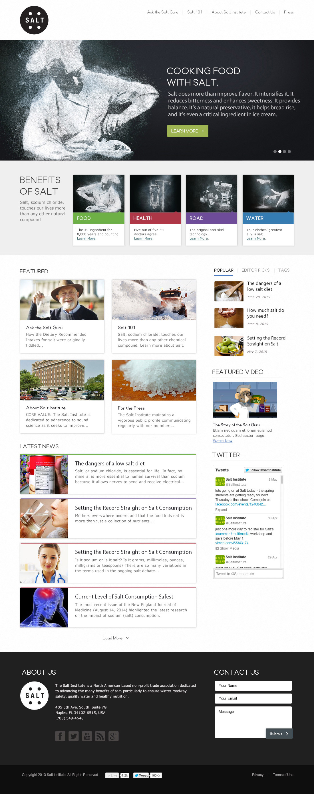 Salt Institute Website