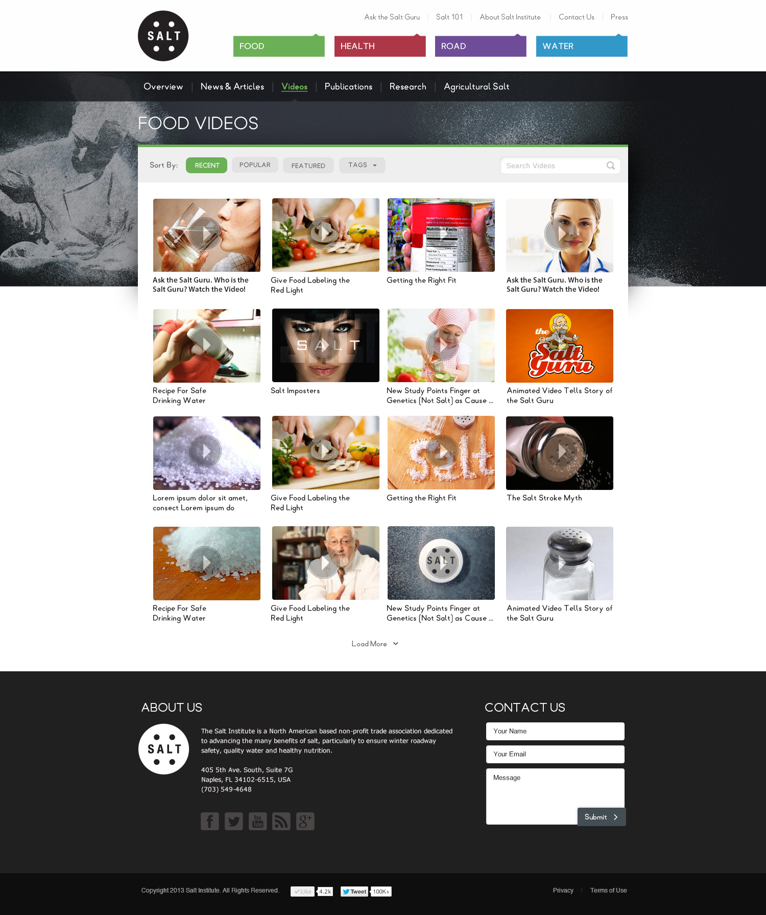 Salt Institute Website