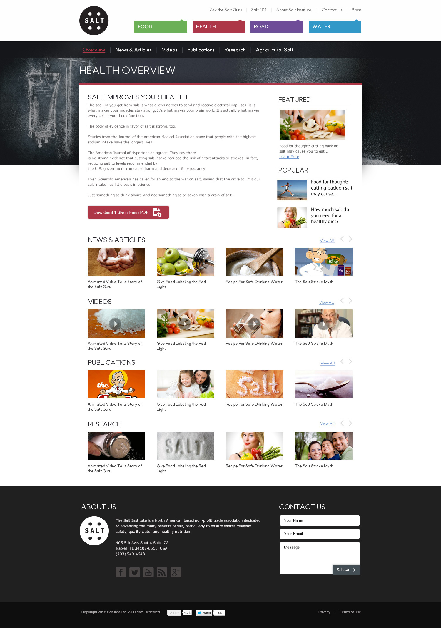 Salt Institute Website
