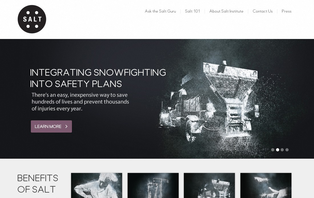 Salt Institute Website