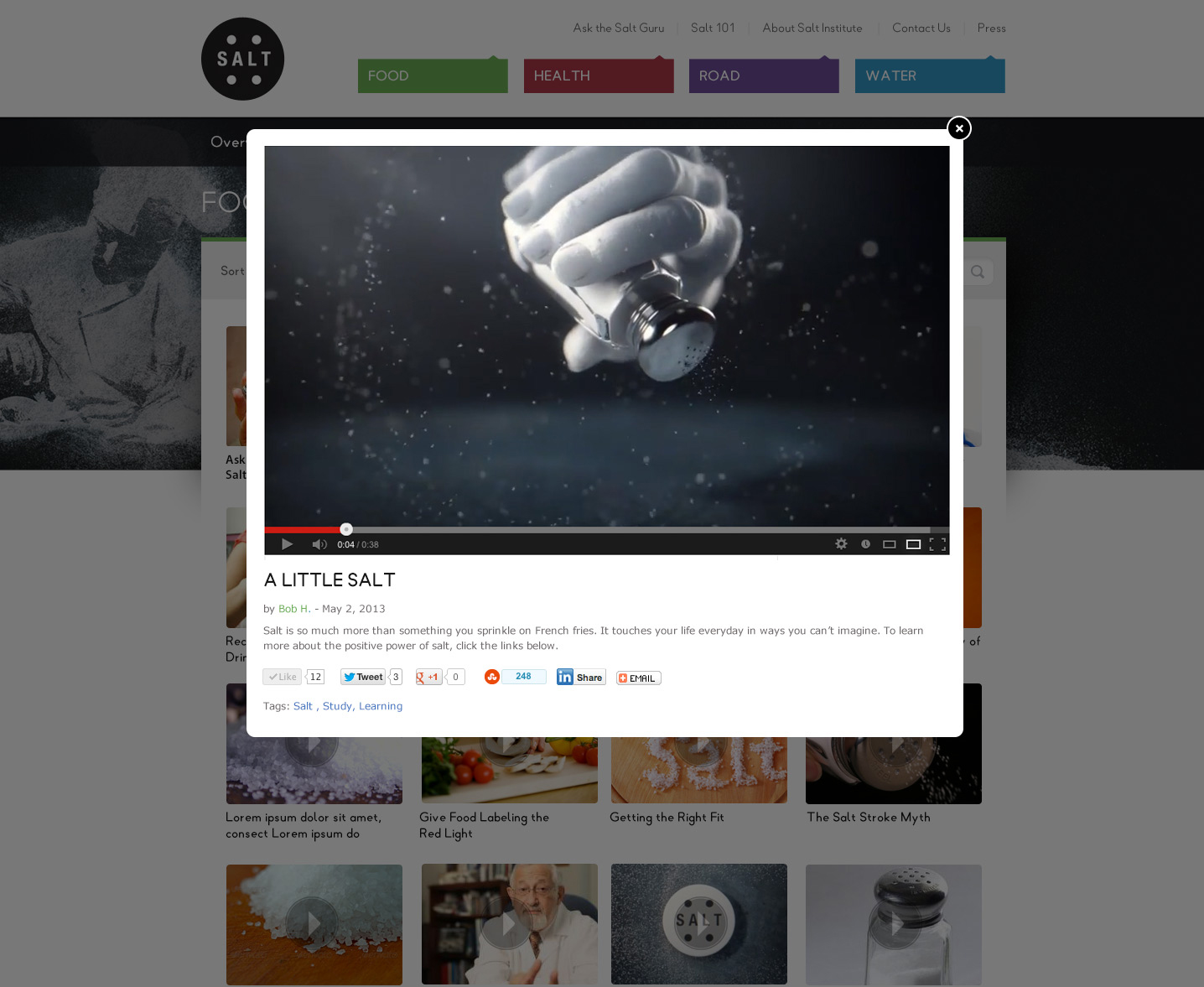 Salt Institute Website